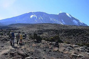 Paradies-Safaris-Willkommen-Startseite-6-Tage-Kilimandscharo