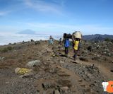 Träger am Kilimanjaro